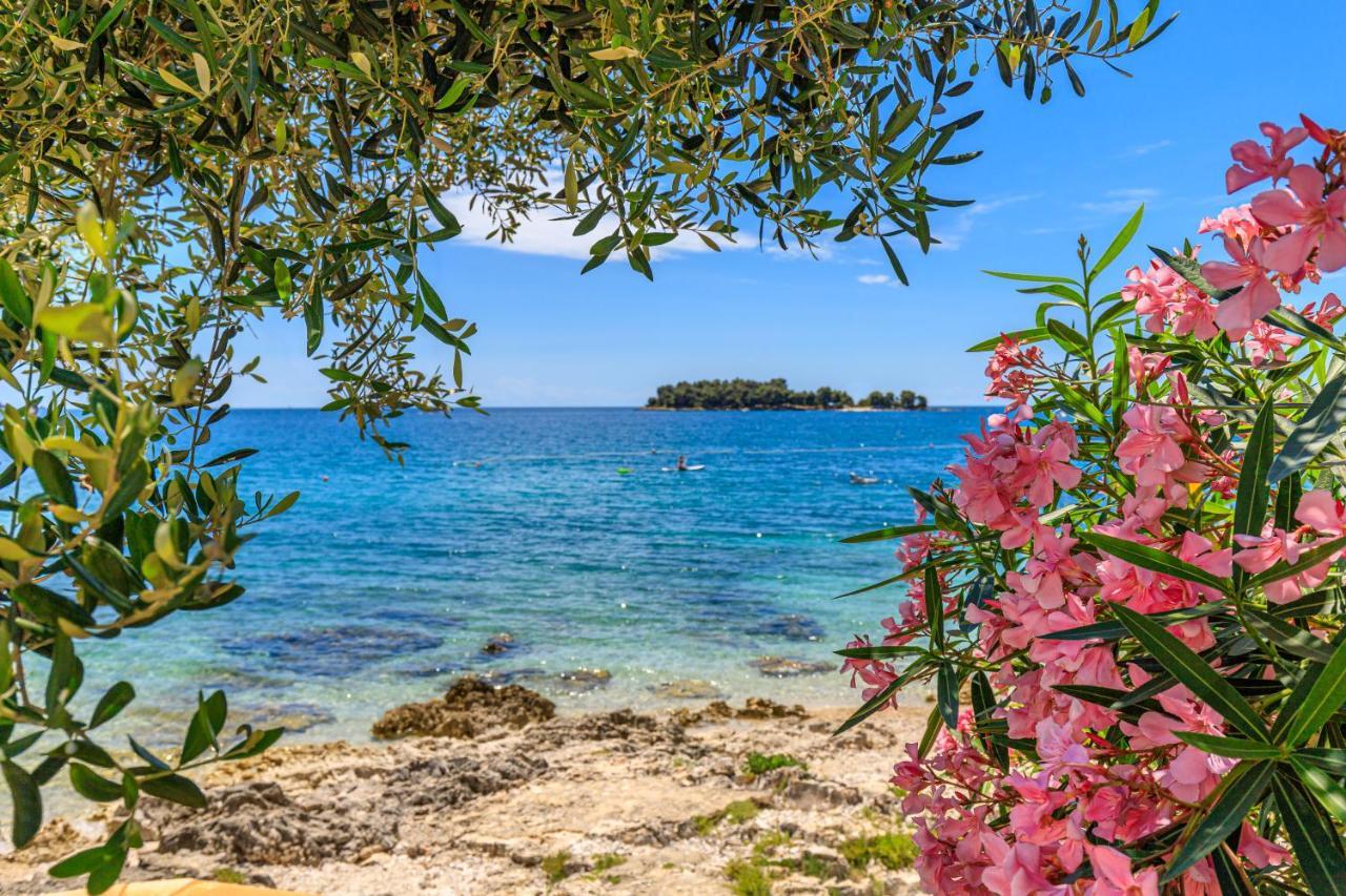 Al Mare Apartments Ρόβινι Εξωτερικό φωτογραφία