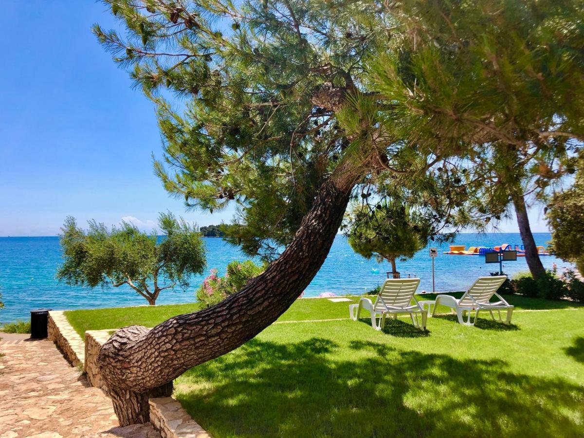 Al Mare Apartments Ρόβινι Εξωτερικό φωτογραφία